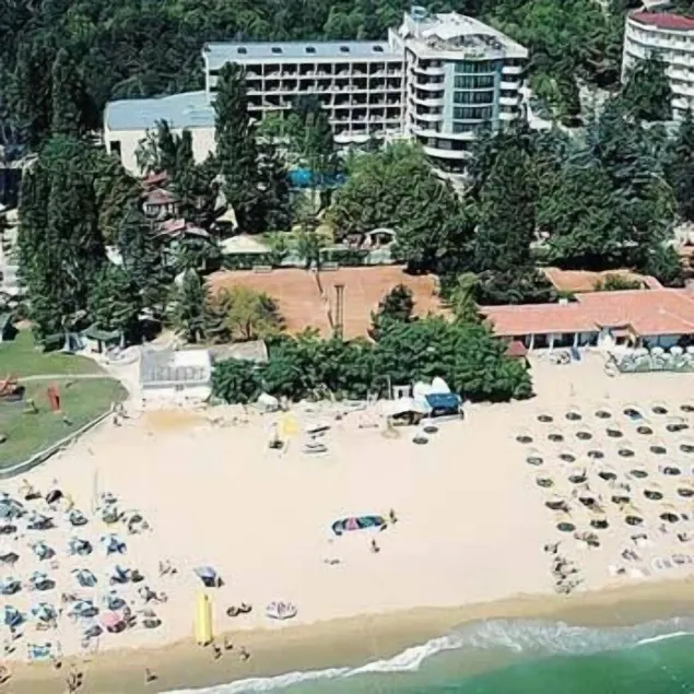 Palm Beach - Image 1