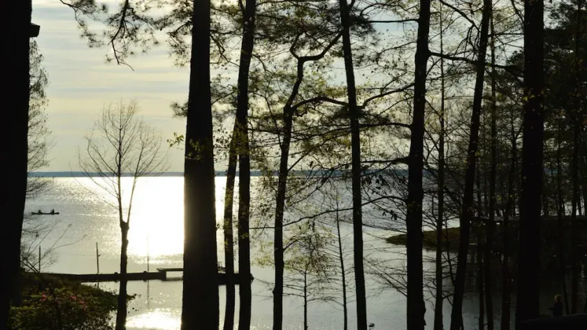 Charmerende Cottage Snuggled i Main Lake Cove med perfekt beliggenhed og udsigt - Image 1