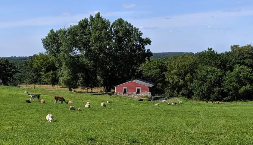 Schmidt Farm: en interaktiv gård oplevelse - Image 1