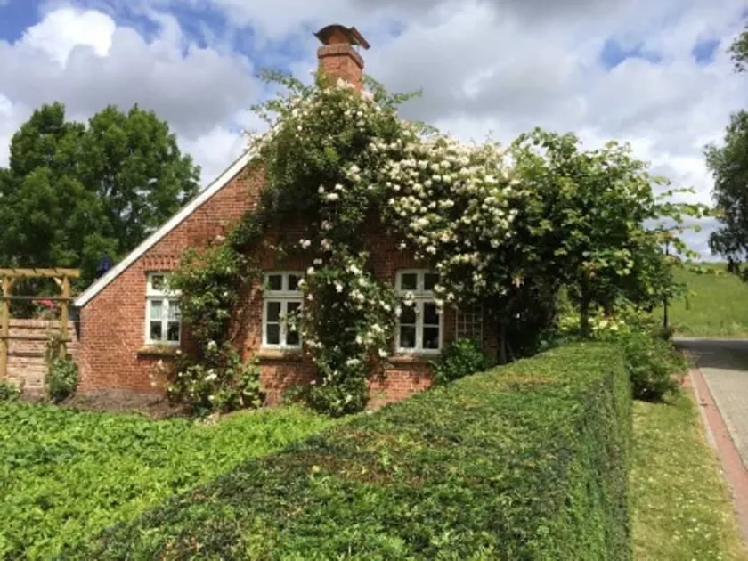 Vacation home Fischerkate am Deich, 45069 - Holiday home Fischerkate am Deich, 45069 - Image 1