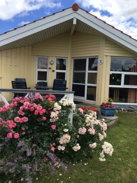 Danish wooden house with sauna near the beach - Image 1