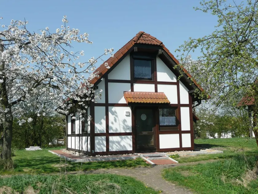Feriehus Deichgraf 65 med kæledyr - Feriehus Deichgraf 65 i feriebyen Altes Land - Image 1