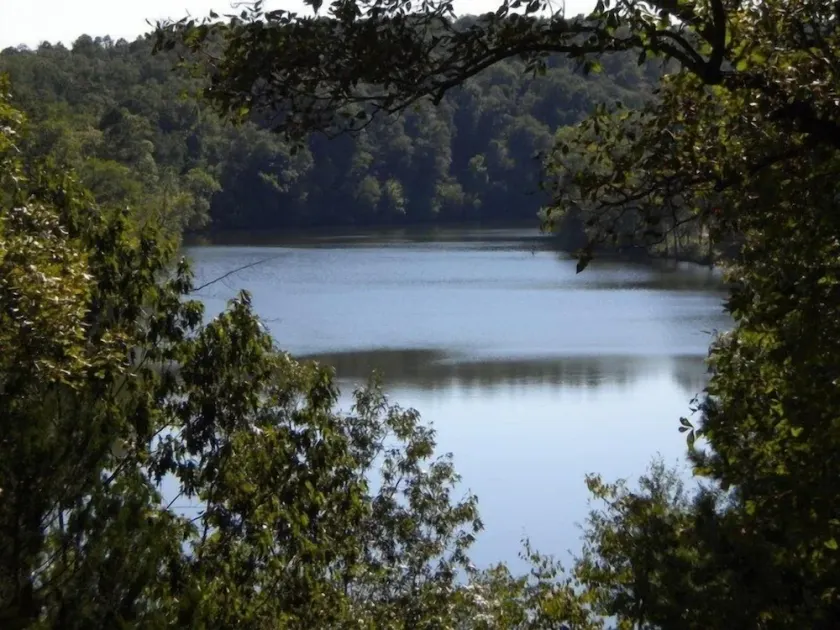 Lake Cabin on the Bluff - Image 1