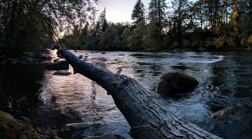 Stort familjevänligt hus vid Santiam River w / Hobbit Door! - Image 1
