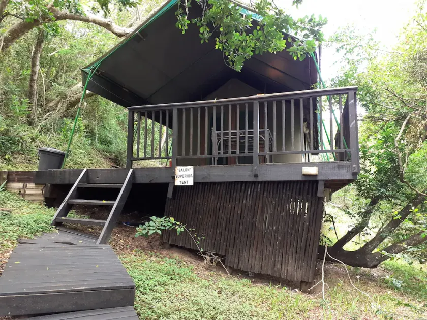 Saloon luxury tent is a 9X4m room, surrounded by vegetation - Image 1