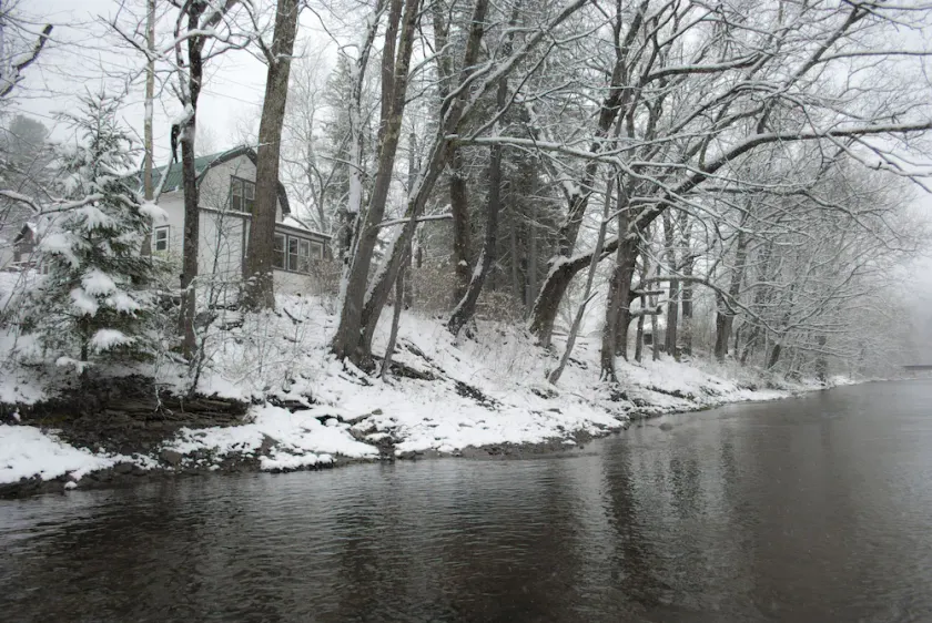 Creek-Side Living In The Pennsylvania Elk Bereich - Image 1