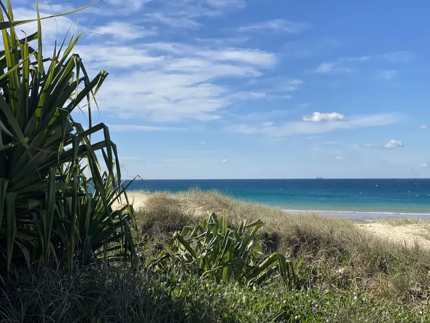 Absolute beachfront- Bush, Beach, Dogs, Relax! - Image 1