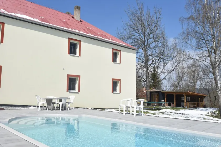 Spacious Holiday Home With Sauna and Private Pool - Image 1