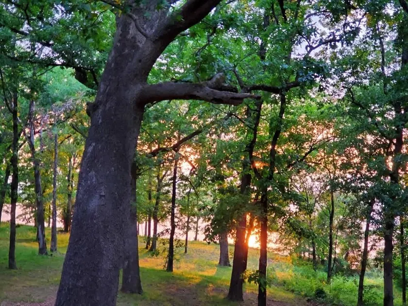 Lakeside Retreat - Image 1