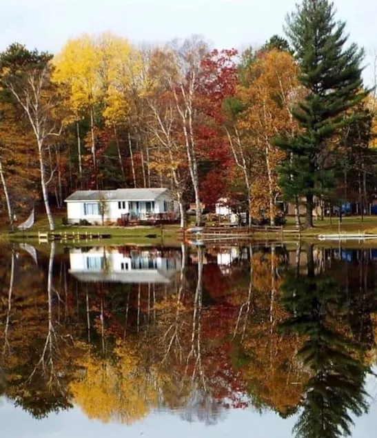 Secluded lakeside  Cottage in the heart of National Forest- down UP back roads.  - Image 1