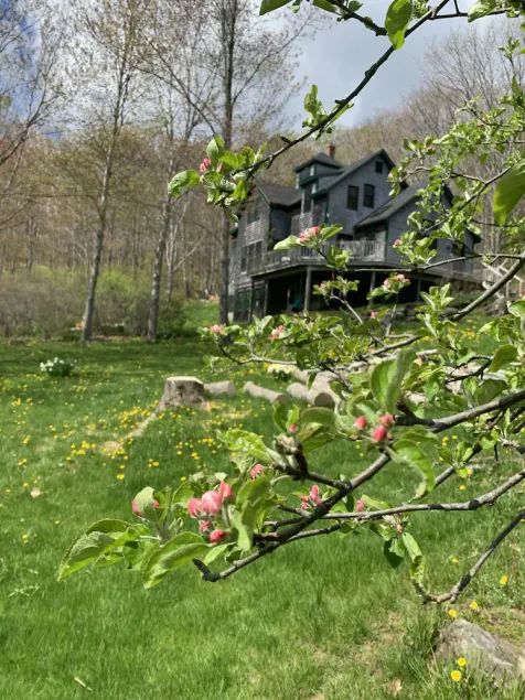 Rockport Eco Home - Image 1