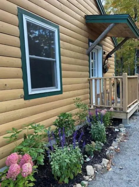 Cozy lil' Cabin in the Adirondacks with fireplace. - Image 1