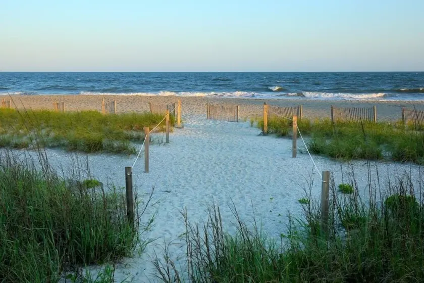Next 2 Paradise-203 - Image 1