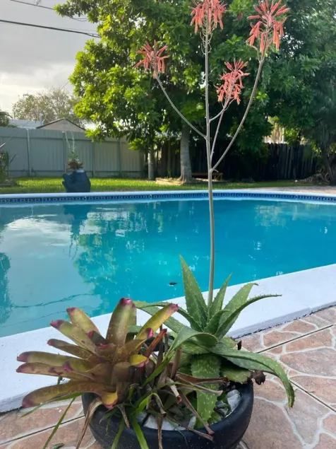 Relaxing 3 bedroom pool home - Image 1