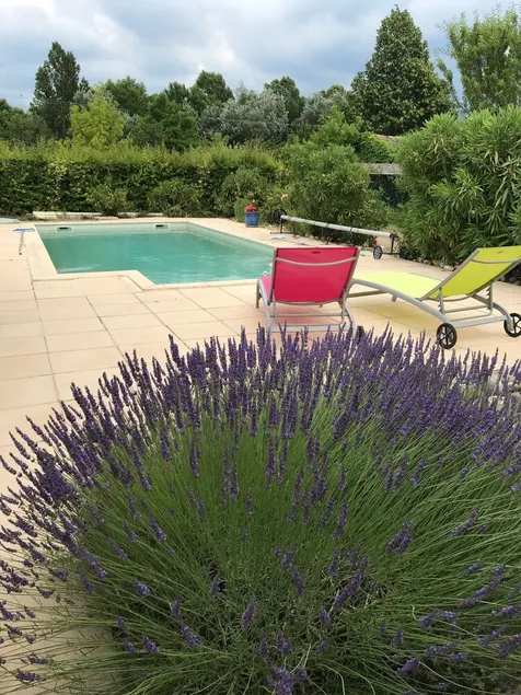 House with swimming pool in lavender fields near the Gorges du Verdon - Image 1