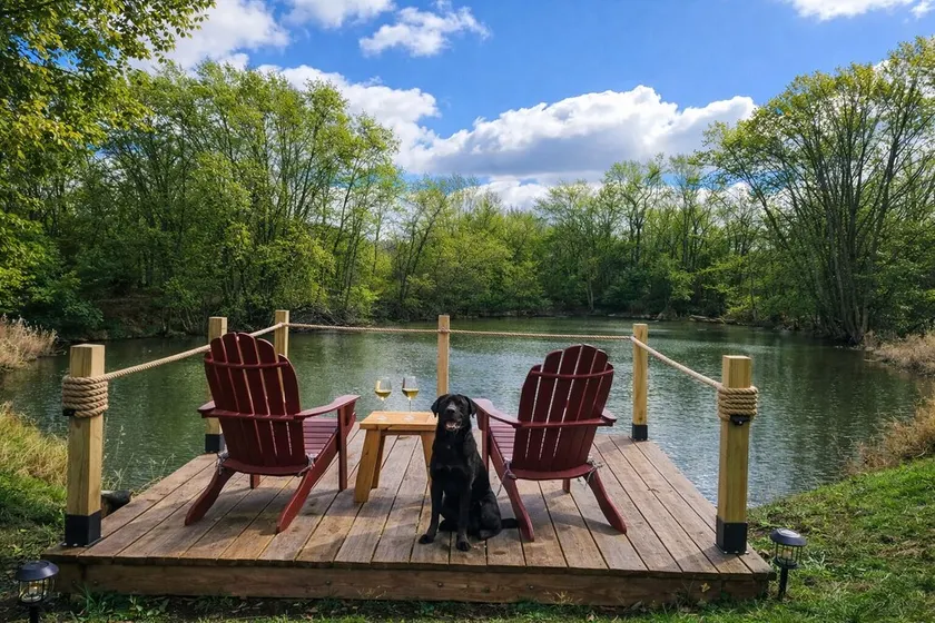 Country Retreat - Forest stroll, pond + wildlife - Image 1