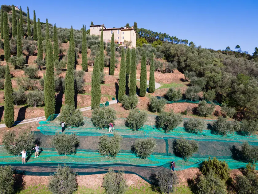 Luxury 6-bed Tuscan Villa near Lucca and Florence - Image 1