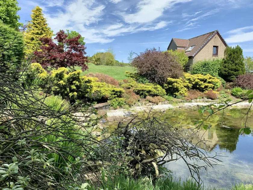 The Wee Firs, escape into the Countryside - Image 1