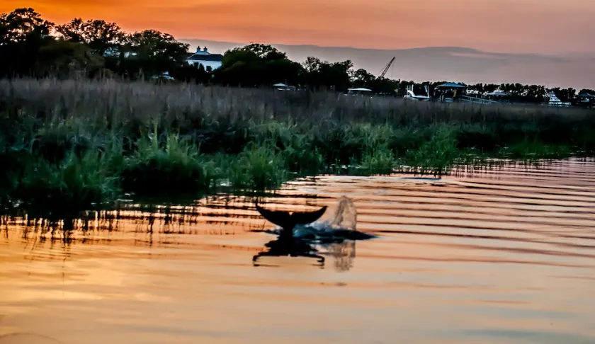 Southern Calm on a Deep Water Dock! - Image 1