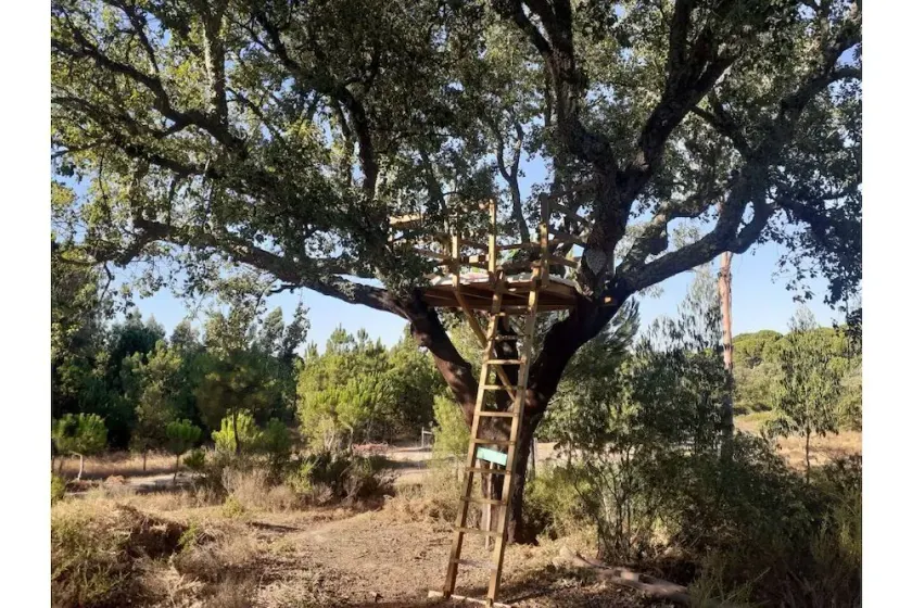 Árvore dos Sonhos - Tree House - Image 1