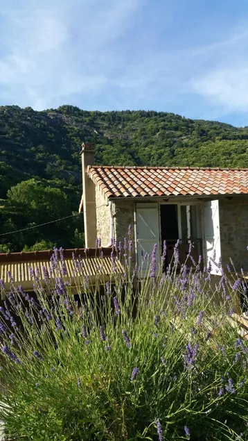 Rinnovata casa di pietra fiume accesso privato, accogliente e molto ben attrezzata - Image 1