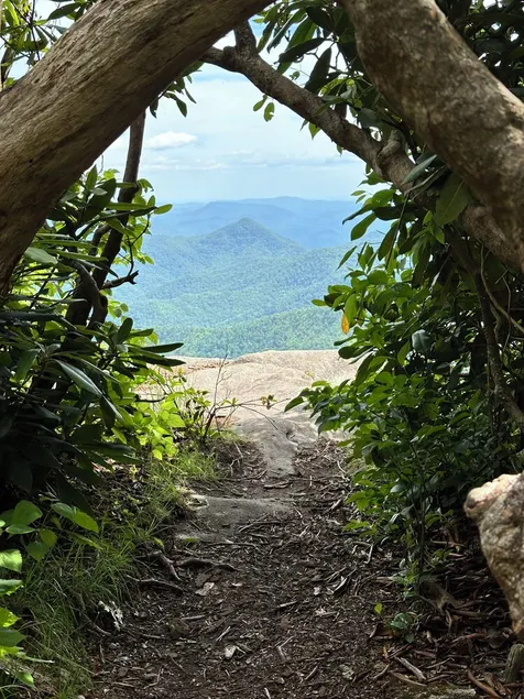 Creekside in the Smoky Mtns. has a rejuvenating quality. Something we all need! - Image 1