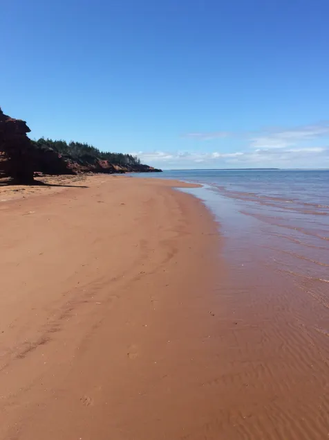 Oceanview Cottage -Beach - Peaceful, Amazing Views - Image 1