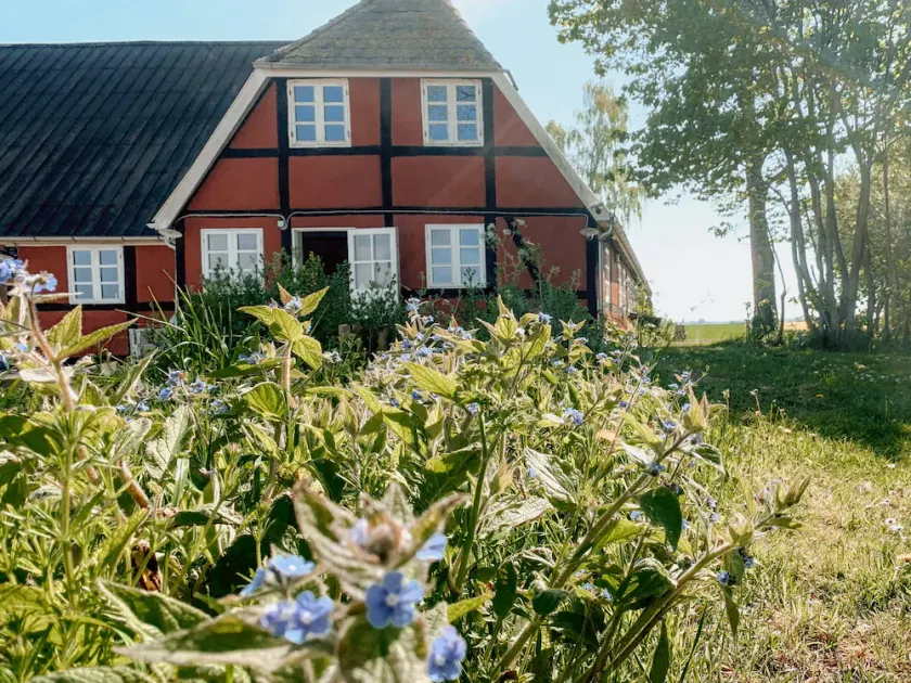 Idyllisk gammel gård i smuk natur - Image 1