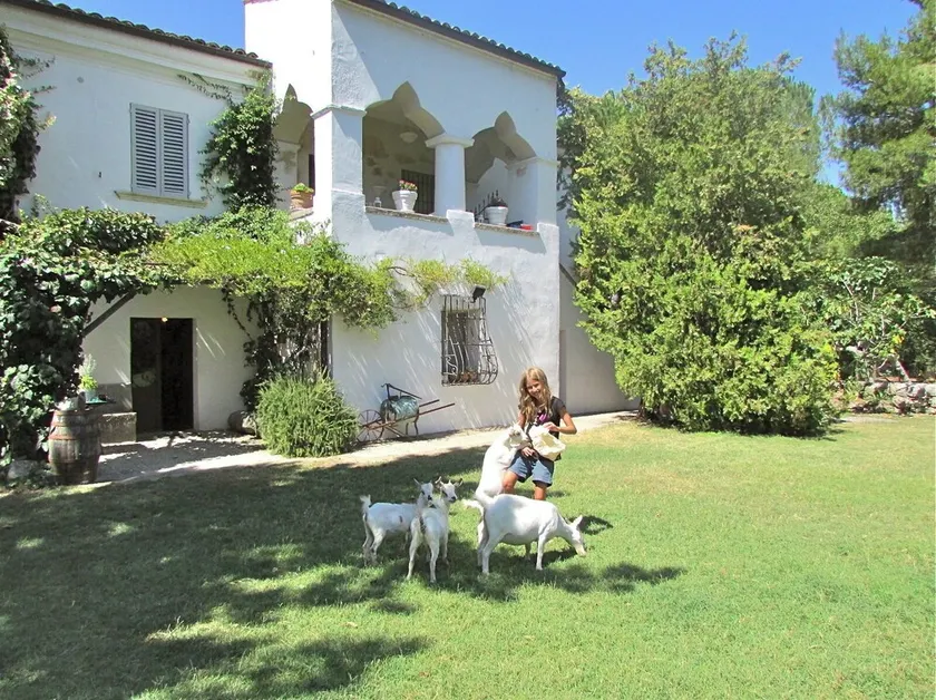 Kleine Apartments mit Pool (2-4 P.): 2 Nationalparks & 30 min. vom Meer entfernt - Image 1