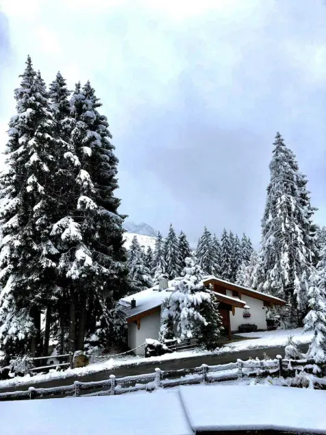 Idyllische Ferienwohnung in Königsleiten mit Sauna, zentral in Liftnähe - Image 1