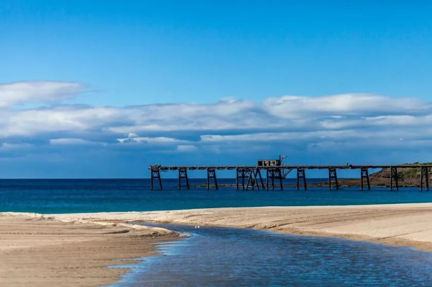 50m to beach patrol flags- ocean views - Nat. Park views - whales - open fire - Image 1