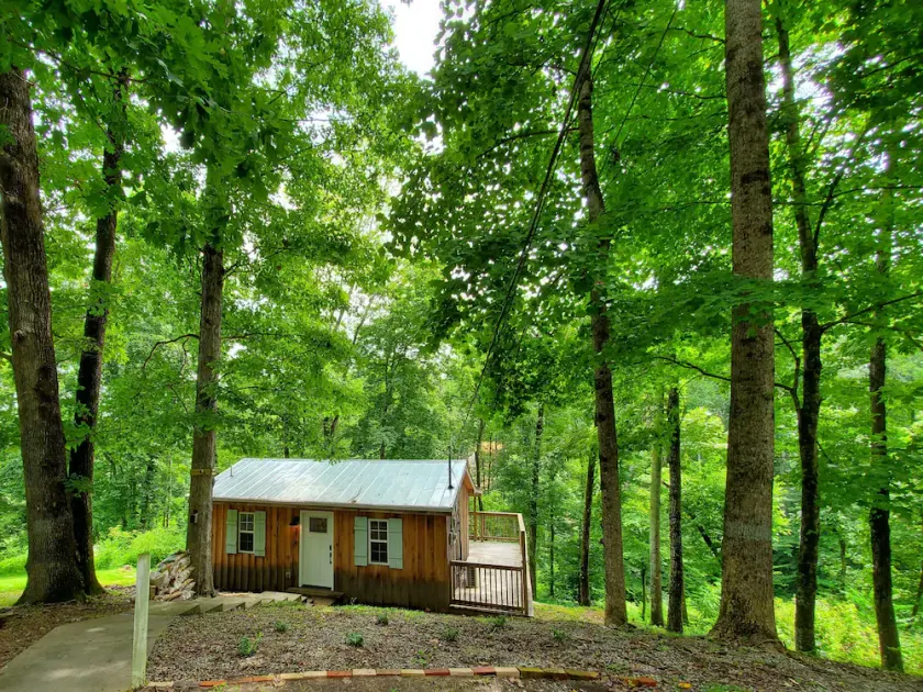 Retreat to Your Private Haven in the Trees - Image 1