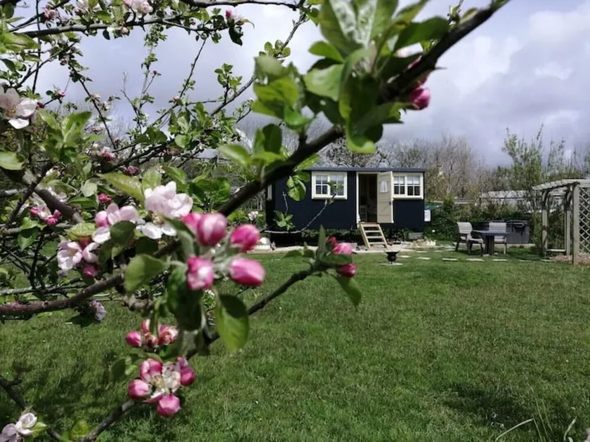 Romantic Apple Tree Shepherd's Hut with optional hot tub and shared EV charger. - Image 1