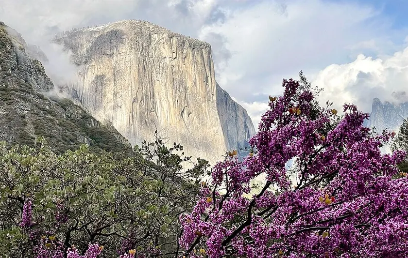 Stort feriehus, tidligere B & B, inde i Yosemite - Image 1