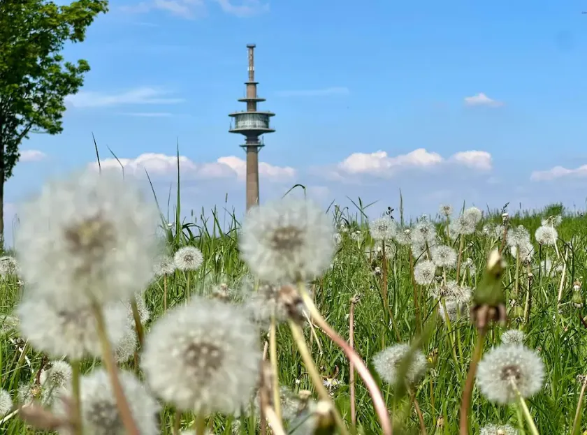 Eifelauszeit - Auszeit ist Eifelzeit / bis zu 4 Personen + Kind(er) + Vierbeiner - Image 1