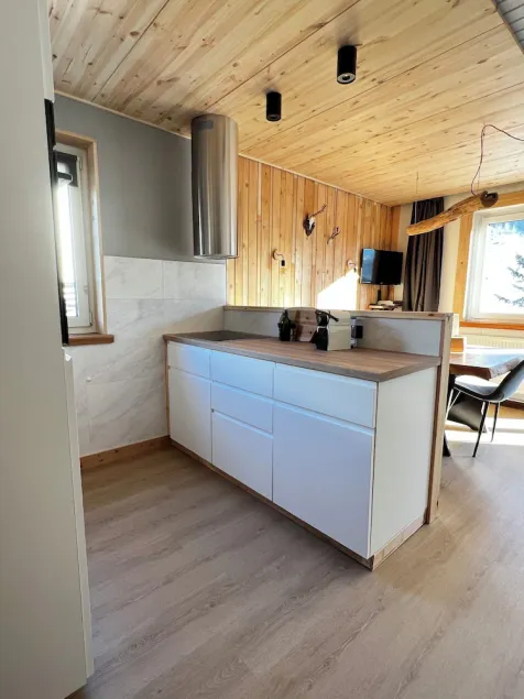 Apartment with mountain view | great skiing and hiking area | near Bad Gastein - Image 1