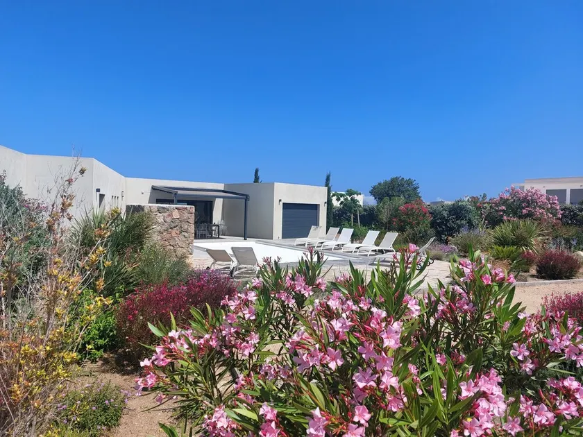 Frelma Casa Villa - Image 1
