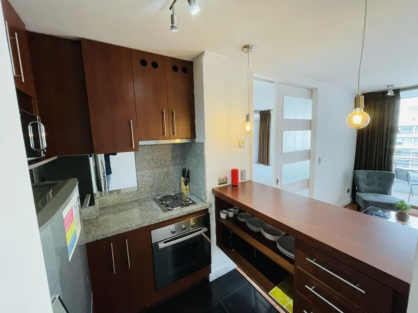 Exclusive apartment in Providencia steps from the Metro - Image 1