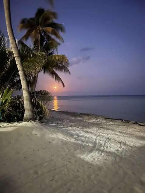 World class ocean views on a sugar sand beach! - Image 1