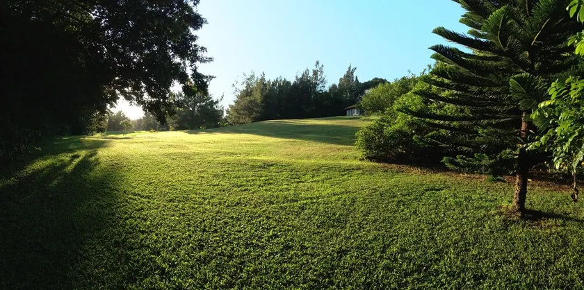 Studio paisible et privé | Ferme de fruits bio de 12 acres avec passe-temps || Plage 10min - Image 1