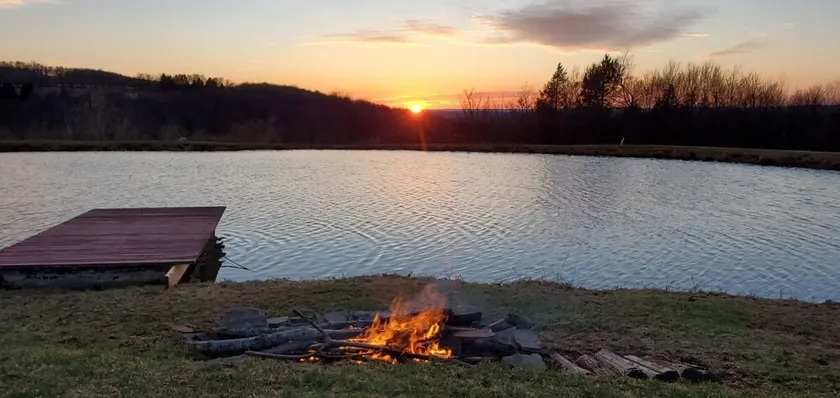 Summer exploration and rest is waiting for you at Whispering Willows Farm - Image 1