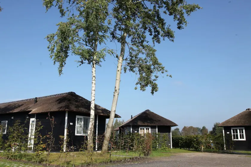 Stylish Woodland Chalet - Image 1