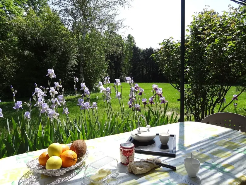 Charming cottage - private terrace overlooking the large wooded park - Image 1