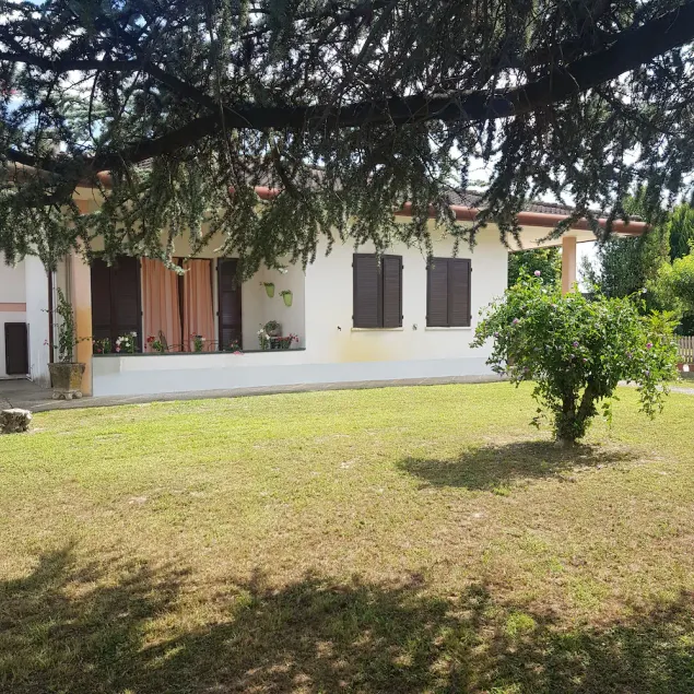 B & B Cedro Argentato - Image 1