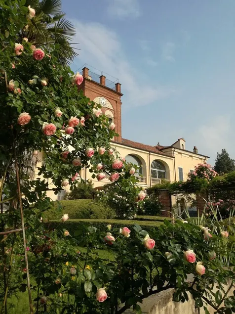 Residencia del siglo XIX en Monferrato - Image 1