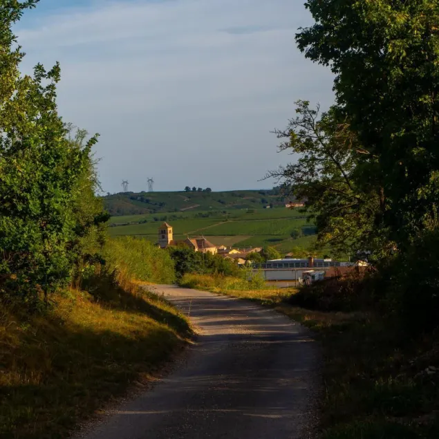 Le Vitrail - DAVAYE - Gîte - Image 1