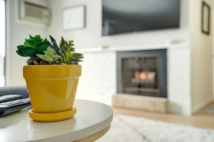 Beautifully remodeled 2 bed 104 Berkley Verona #6 - Image 1