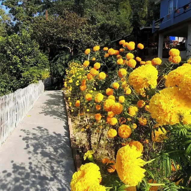MountainBrew Homestay  - Image 1