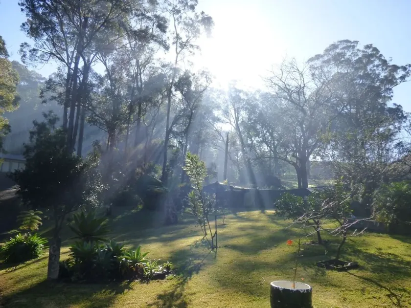 Werekataba - Image 1