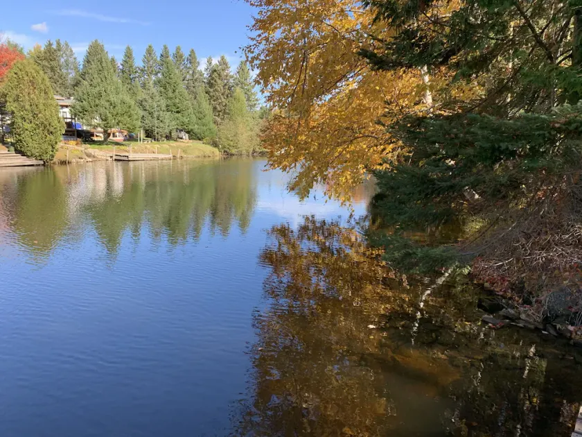 Amazing Cottage for Rent - Image 1